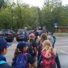 Kinderfeuerwehr - Tagesausflug in das Wisentgehege Springe 11.08.2018
